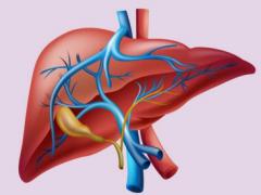 新冠肺炎导致的肝功能损害怎么办