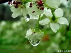 滨ʢʫ