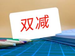ƶ˫ʵλЩս